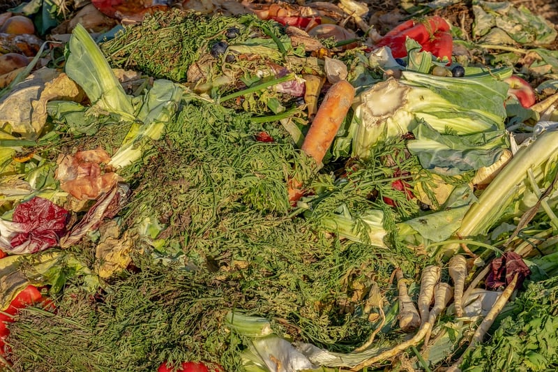Compost Heap